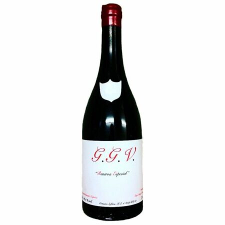 Goyo García Viadero G.G.V 2012