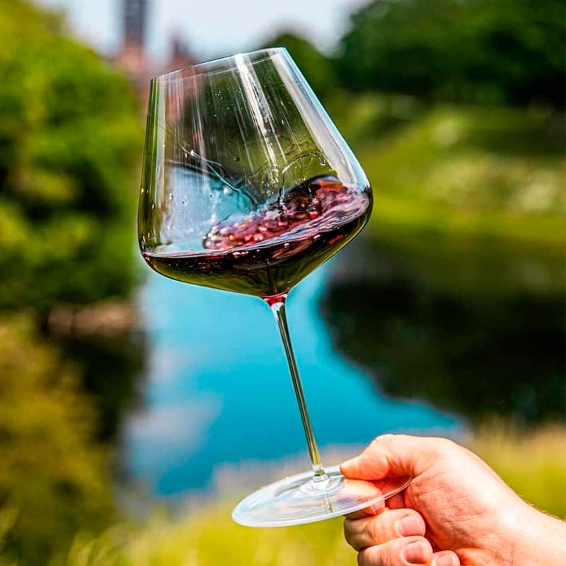 zalto-copa-burgundy-served-sembra-vinos Copa Borgoña Zalto