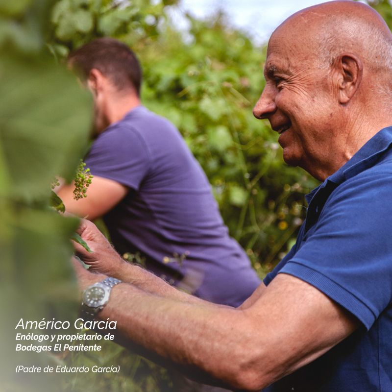 Ser padre en el viñedo